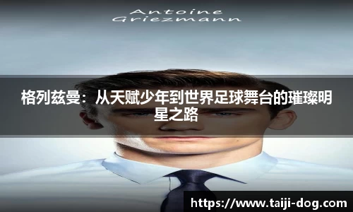 BB贝博